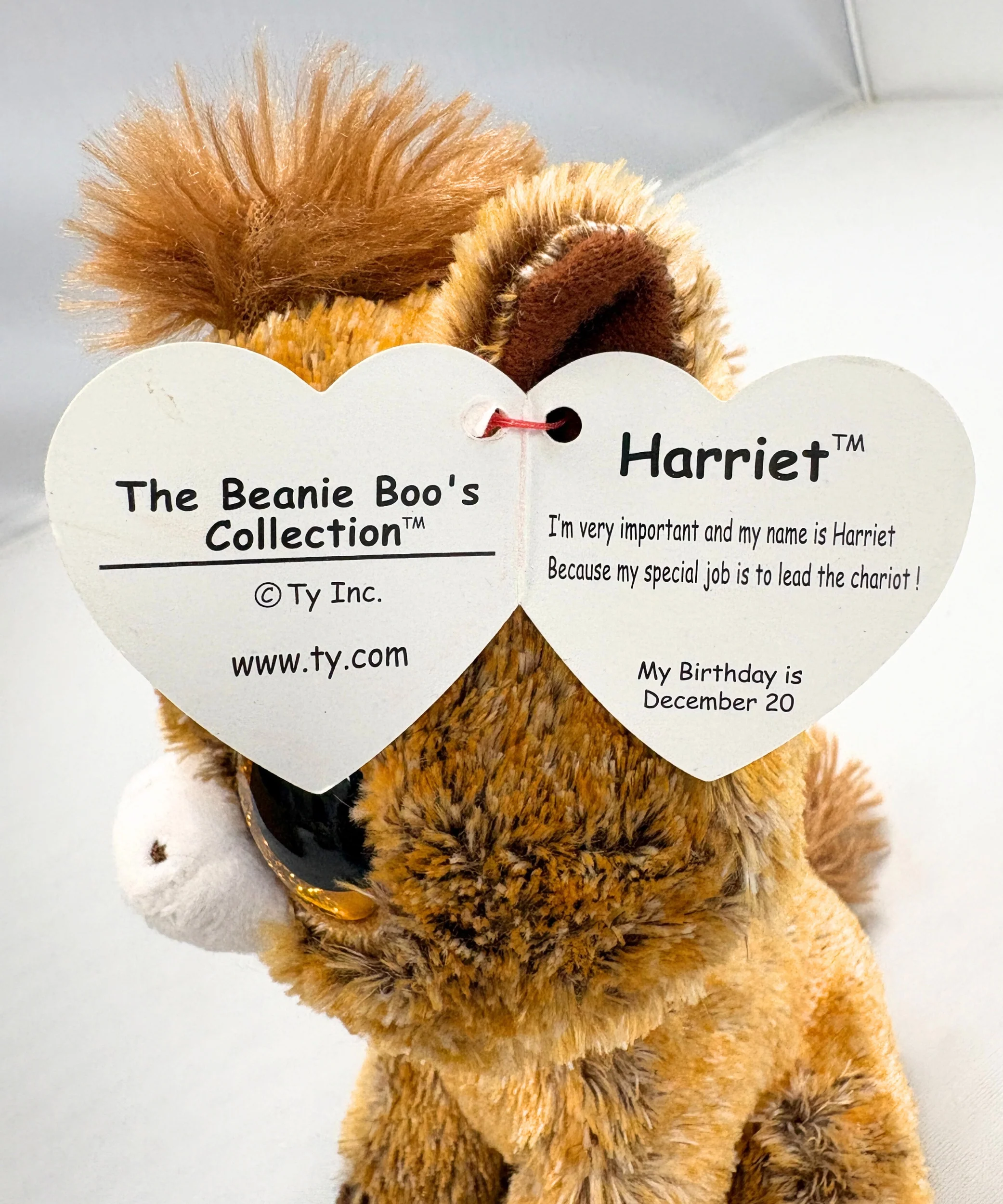 Thumb 5